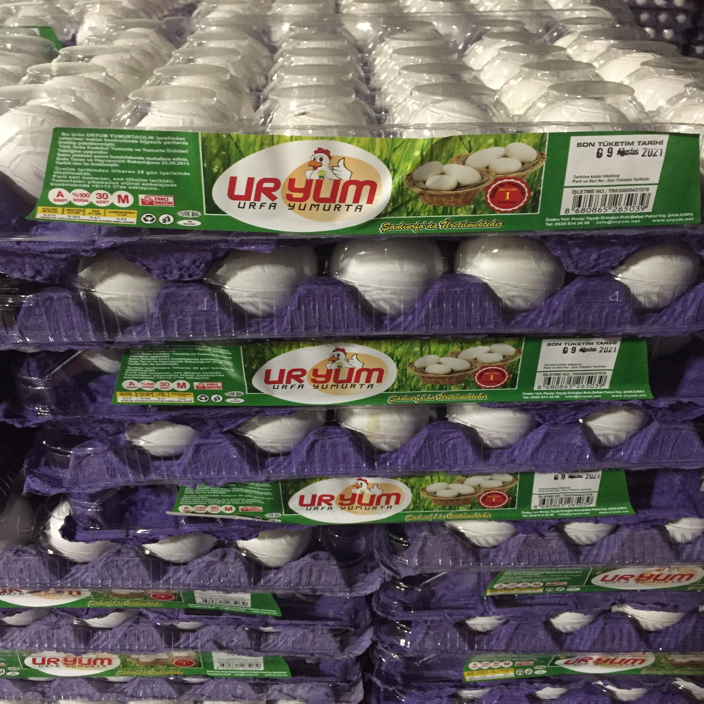 Uryum Medium